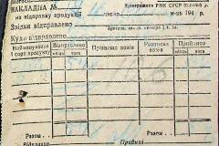 241