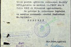 241