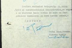 241