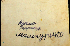 241