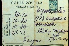 241