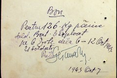 241