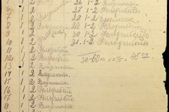241