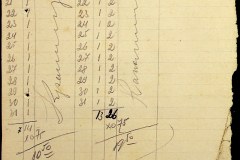 241