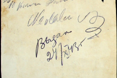241