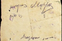 241