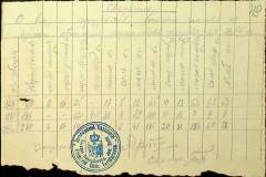 241