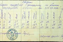 241