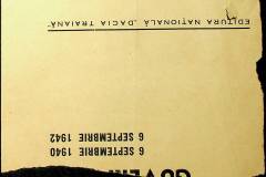 241