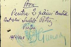 241
