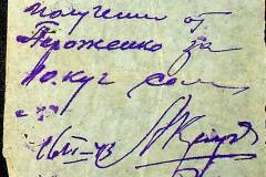 241