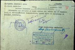 241