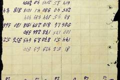 241