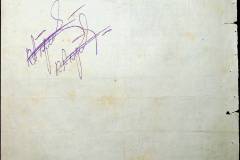 241