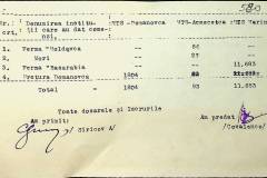241