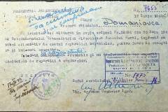 241