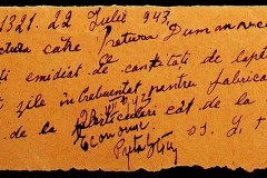 241