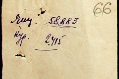 241