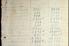 241