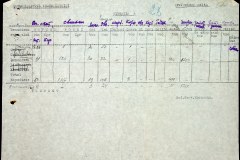 241