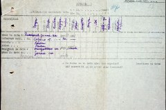 241