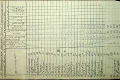 241