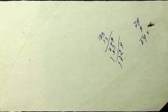241