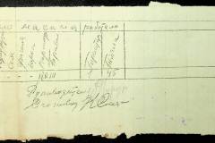 241