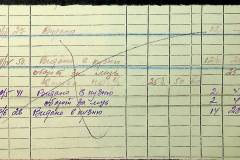 241