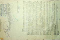 241