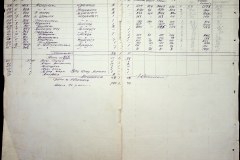 241