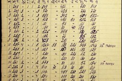 241