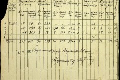 241