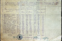 241