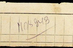 241