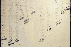 241