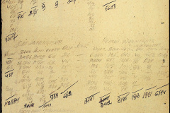 241