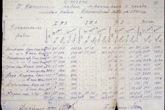 241