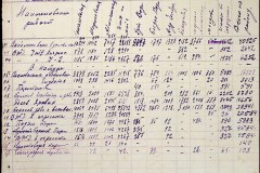 241