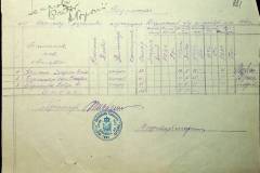 241