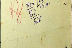 241