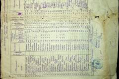 241