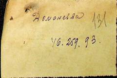 241