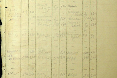 241