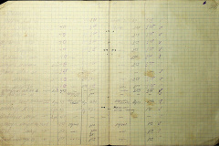241