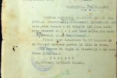 241
