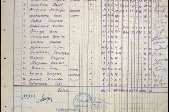 241