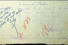 241