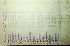 241