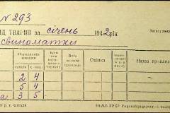 241